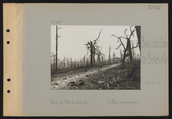Bois des côtes de Belleville. Route du Fort de Souville. Le bois bombardé