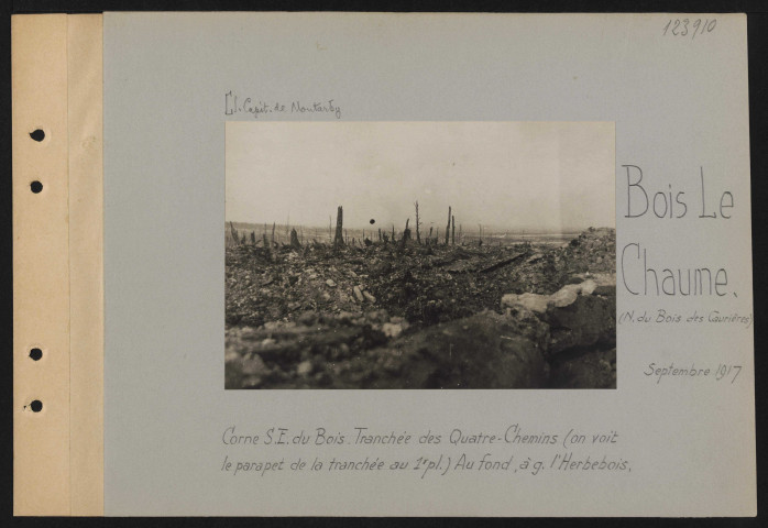 Bois Le Chaume (nord du Bois des Caurières). Corne sud-est du bois. Tranchée des Quatre-Chemins (on voit le parapet de la tranchée au premier plan). Au fond, à gauche, l'Herbebois