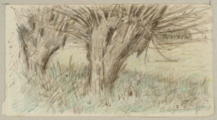 (Les saules. Bois des Corbeaux, Meuse, 13 septembre 1915)