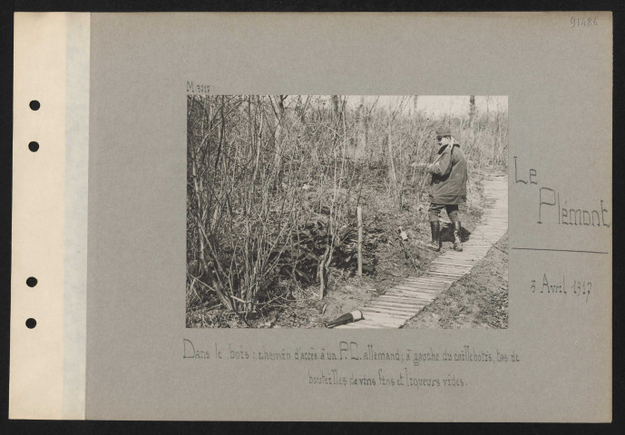 Le Plémont. Dans le bois : chemin d'accès à un PC allemand ; à gauche du caillebotis, tas de bouteilles de vins fins et liqueurs vides