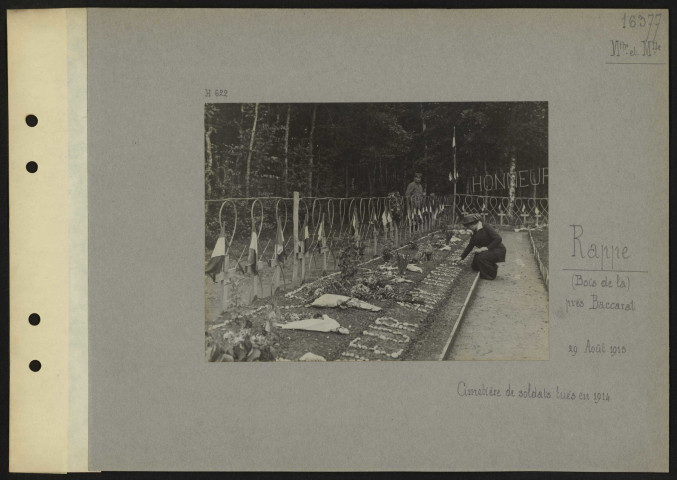 Rappe (Bois de la) (près Baccarat) (Meurthe-et-Moselle). Cimetière de soldats tués en 1914