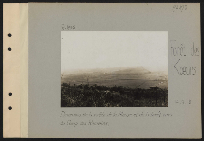 Forêt des Koeurs. Panorama de la vallée de la Meuse et de la forêt vues du Camp des Romains