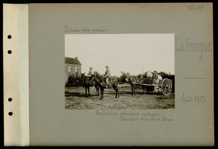 La Gorgue. Ambulance vétérinaire portugaise. Transport d'un cheval blessé