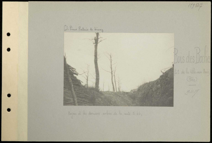 Bois des Boches (sud-est de la Ville-aux-Bois) (près). Boyau et les derniers arbres de la route N 44
