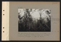 Gremecey (près). Cote 291 et Forêt de Gremecey occupées par les Allemands ; au fond, à droite, Forêt de Château-Salins vue du poste d'observation Champagne au nord-ouest de Moncel