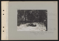 Montmacq. Le château : dans le parc, mulet d'artillerie anglaise se roulant