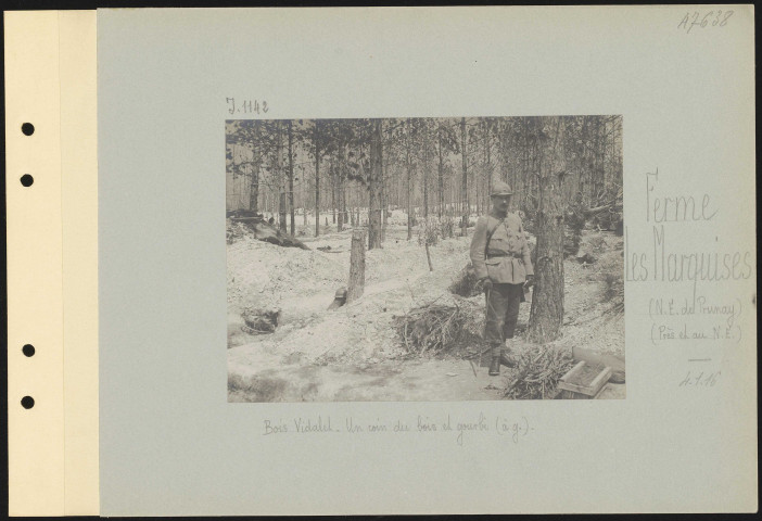 Ferme Les Marquises (nord-est de Prunay) (près et au nord-est). Bois Vidalet. Un coin du bois et gourbi (à gauche)