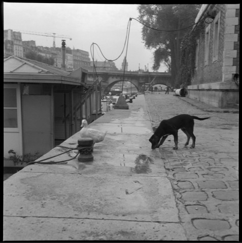 Scènes de rue à Paris