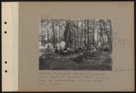 Bligny. Hôpital temporaire VR 67. Sanatorium pour blessés et malades atteints ou suspects de tuberculose. La cure d'air dans le parc