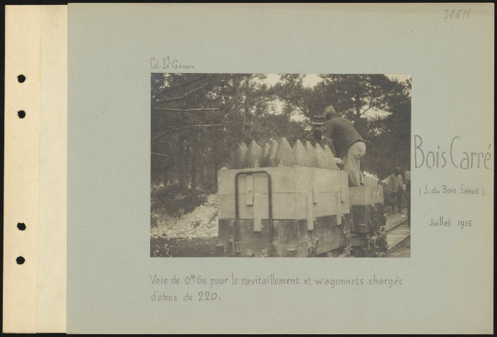 Bois Carré (sud du Bois Sabot). Voie de 0 m 60 pour le ravitaillement et wagonnets chargés d'obus de 220