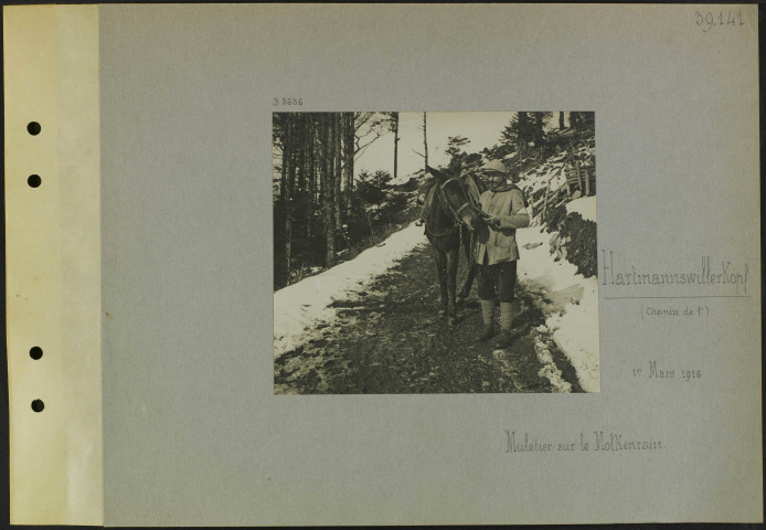 Hartmannswillerkopf (Chemin de l'). Muletier sur le Molkenrain