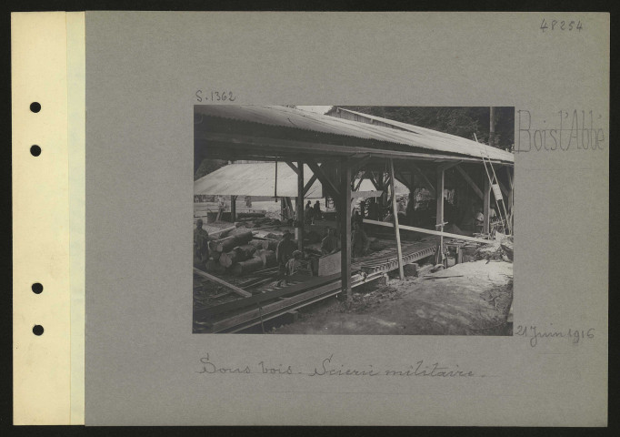Bois l'Abbé. Sous-bois. Scierie militaire
