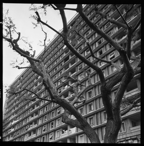 Séminaire de la Fédération mondiale de la Jeunesse démocratique et de la Jeunesse du FLN sur le thème de la lutte contre la colonianisme et le néo-colonialisme (24 avril 1963, Alger, salle Ibn Khaldoun) (début)