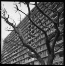 Séminaire de la Fédération mondiale de la Jeunesse démocratique et de la Jeunesse du FLN sur le thème de la lutte contre la colonianisme et le néo-colonialisme (24 avril 1963, Alger, salle Ibn Khaldoun) (début)