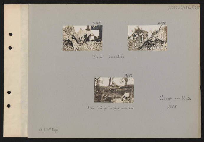 Canny-sur-Matz. Arbre brisé par un obus allemand