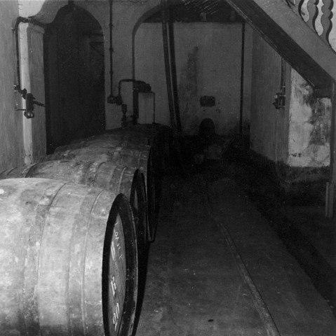 Reportage sur le domaine de la Trappe, propriété nationalisée de la famille Borgeaud à Staouëli, près d'Alger. 1