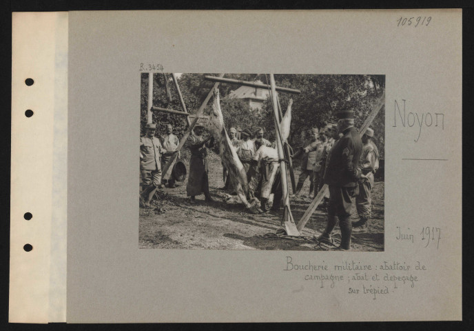 Noyon. Boucherie militaire : abattoir de campement ; abat et dépeçage sur trépied