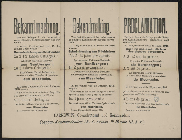 Vor das Feldgericht...amp; sind verurteilt...amp; Verheimlichung von Brieftauben = Voor het Veldgerecht...amp; Geheimhouding van Briefduiven = Par le tribunal de campagne...amp; pour ne pas avoir déclaré des pigeons voyageurs