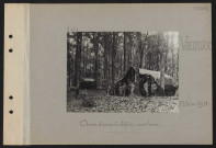 Vaumoise. Chars d'assaut défilés sous bois