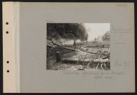 Avricourt. Destructions systématiques par les Allemands : arbres coupés