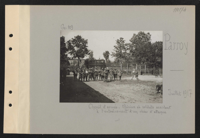 Parroy. Chenil d'armée. Officiers et soldats assistant à l'entraînement d'un chien d'attaque