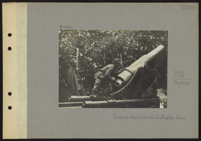 Malborghetto (Italie). Obusier de 210 en position dans la forêt contre Malborghetto. Carnie