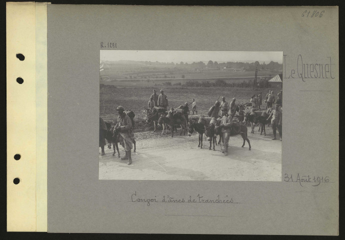 Le Quesnel. Convoi d'ânes de tranchées