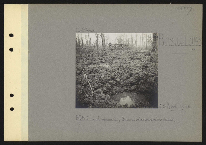 Bois des Loges. Effets du bombardement ; trous d'obus et arbres brisés
