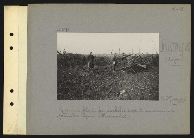 Beuvraignes (devant). Réseau de fils de fer barbelés devant les anciennes premières lignes allemandes