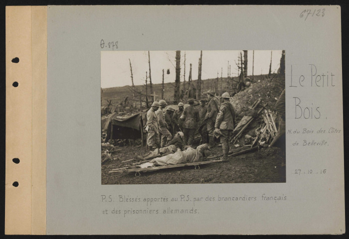 Le Petit Bois (nord du Bois de Côtes de Belleville). PS. Blessés apportés au PS par des brancardiers français et des prisonniers allemands