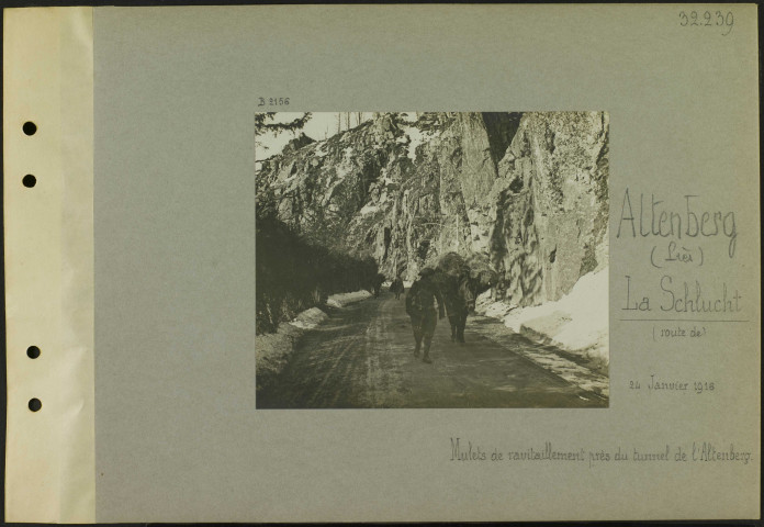 Altenberg (Près) (La Schlucht) (Route de). Mulets de ravitaillement près du tunnel de l'Altenberg