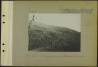 Hartmannswillerkopf. Vue prise de l'observatoire du blockhaus Arnault