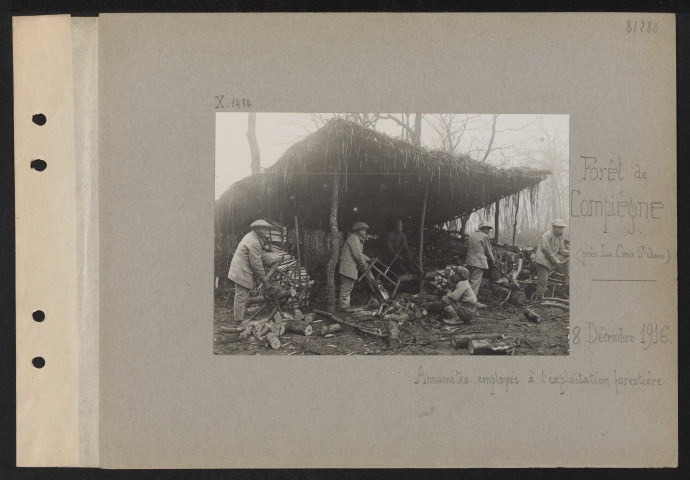 Forêt de Compiègne (près La Croix Saint-Ouen). Annamites employés à l'exploitation forestière