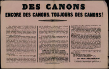 Des canons. Encore des canons, toujours des canons !