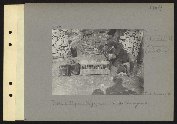 Bois Saucisse (Ravin du) (ouest de Cléry). Poste de pigeons-voyageurs. Le repas des pigeons