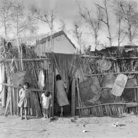 Reportage sur le domaine de la Trappe, propriété nationalisée de la famille Borgeaud à Staouëli, près d'Alger (suite). 6