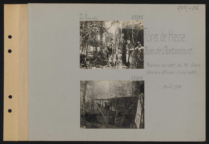 Forêt de Hesse, Bois de Chattancourt. Position de batterie de 75. Abris d'été des officiers d'une batterie