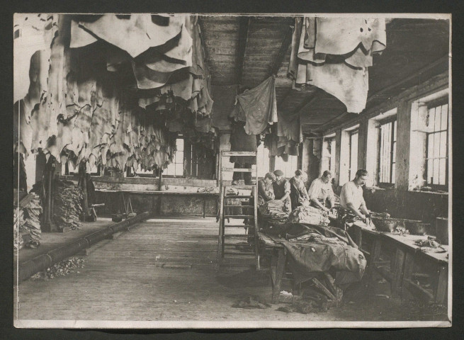 Tannerie et usine de cuirs Aboucaya à Bagneux (Seine)