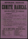 Comité Radical : Délégation Ouvrière Programme