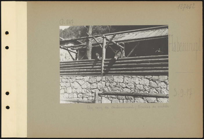 Habeaurupt. Un coin du cantonnement ; Écuries de mulets