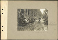 Forêt de Villers-Cotterets. Convoi d'automobiles allemandes incendiées dans la forêt