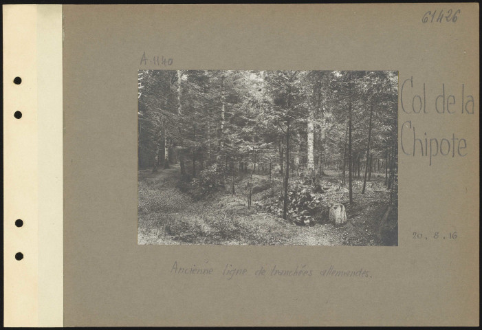Col de la Chipote. Ancienne ligne de tranchées allemandes