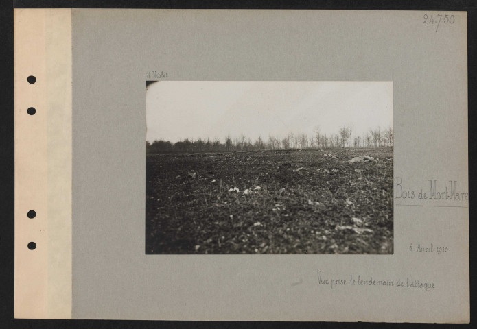 Bois de Mort-Mare. Vue prise le lendemain de l'attaque