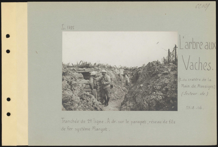 L'Arbre aux Vaches (est du Cratère de la Main de Massiges) (secteur de). Tranchée de première ligne. À droite sur le parapet, réseau de fils de fer système Margot