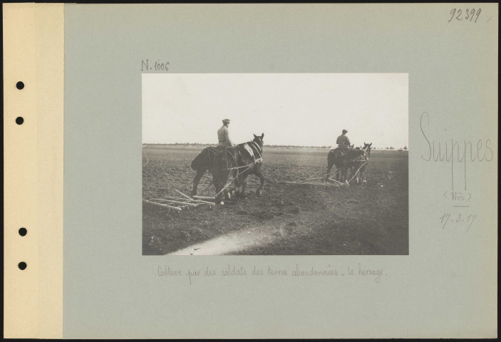Suippes (près). Culture par des soldats des terres abandonnées. Le hersage