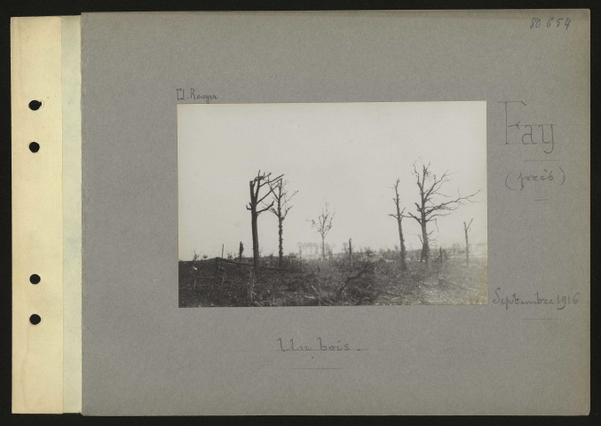 Fay (près). Un bois