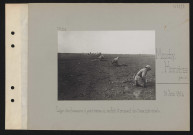 Monchy-Humières (près de). Ligne de chasseurs à pied venus en renfort et creusant des trous individuels
