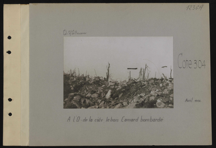 Cote 304. À l'ouest de la cote, le Bois Camard bombardé