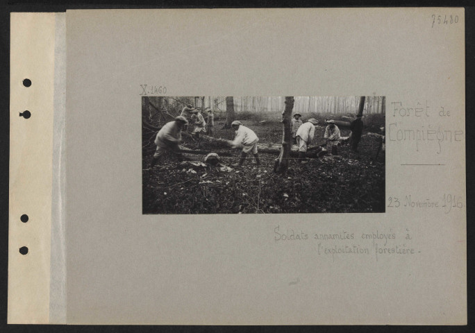 Forêt de Compiègne. Soldats annamites employés à l'exploitation forestière