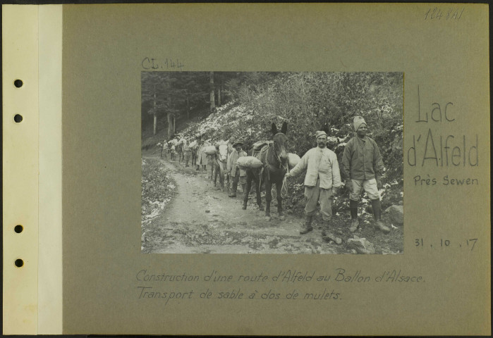 Lac d'Alfeld (Près Sewen). Construction d'une route d'Alfeld au Ballon d'Alsace. Transport de sable à dos de mulets